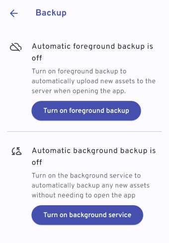 Immich Mobile Auto Backup Options