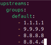 A terminal showing the modified DNS upstreams.