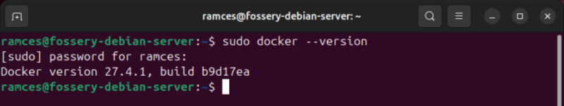 A terminal showing that Docker is properly working in Debian.