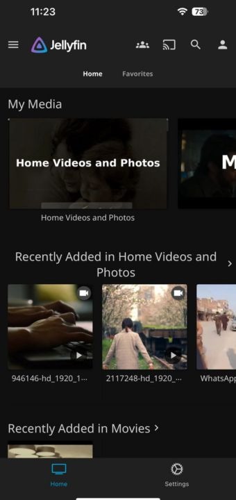 Jellyfin Server On Mobile