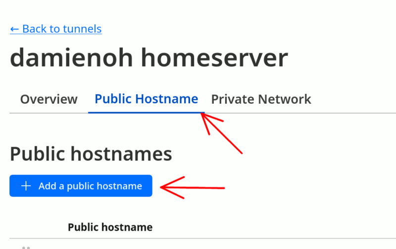 Cloudflare Public Hostname Tab